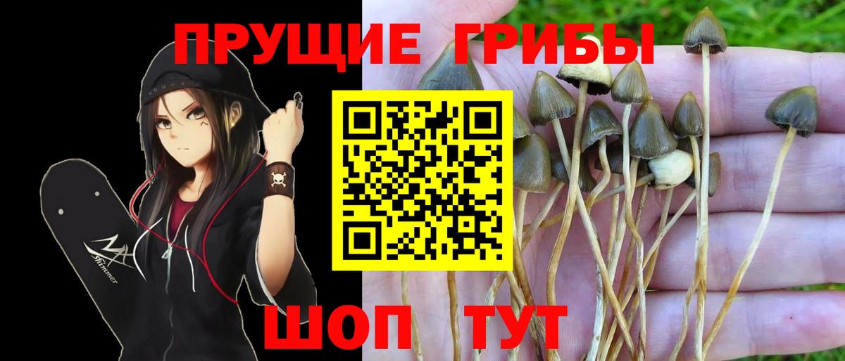 Донецк  Галлюциногенные грибы мицелий  цены   Вход с VPN 